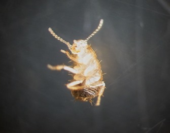 %EF%BD%9942-1.jpg