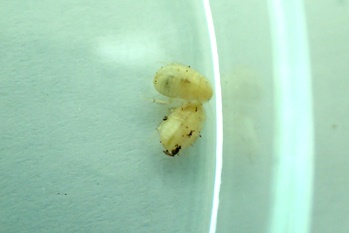 PB140586.jpg