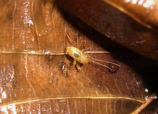RIMG0405.jpg