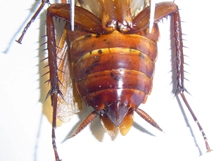 fhtryu-4.jpg