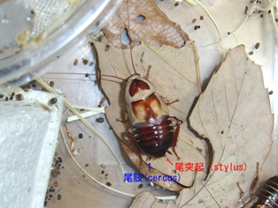ghytrhjik-4.jpg