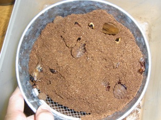 oopuyg-2.jpg