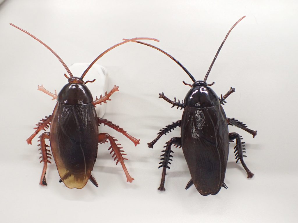 虫 ねずみ 害虫 シロアリ駆除ならシー アイ シー