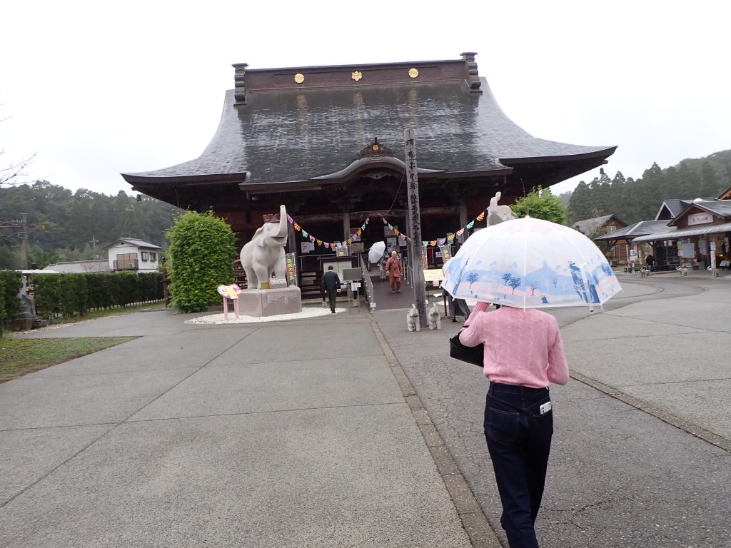 その他 ねずみ 害虫 シロアリ駆除ならシー アイ シー